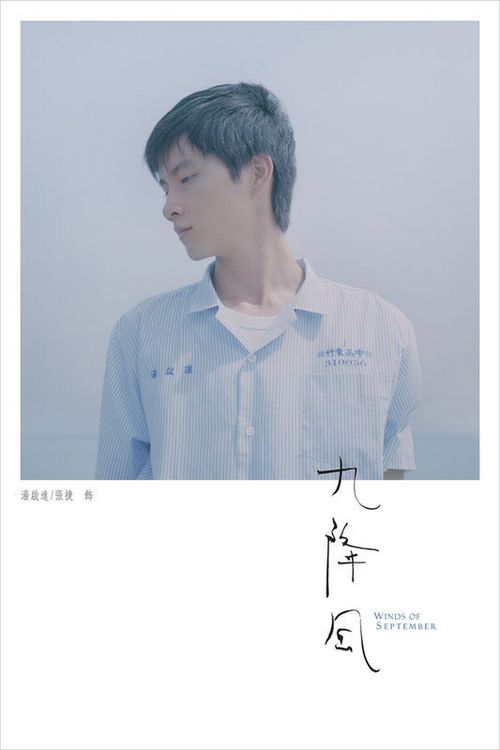 做假韩国培材大学文凭